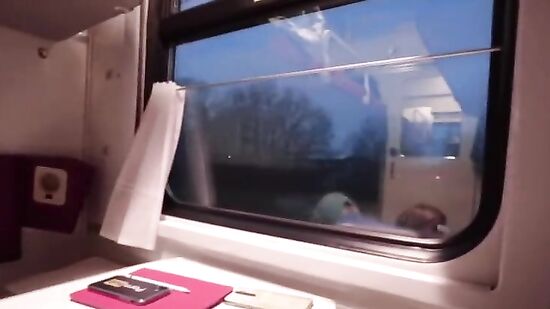 Куни и секс в поезде с симпатичной соседкой по купе