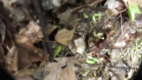 Незнакомец предложил милашке деньги за секс и она согласилась