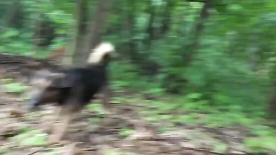 Незнакомец предложил милашке деньги за секс и она согласилась