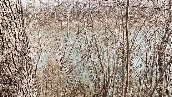 Немножко потеплело, и сразу пошли трахаться на улицу