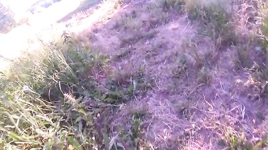 Трахаю подругу в позе раком и кончаю ей на попу, пока она стонет от удовольствия