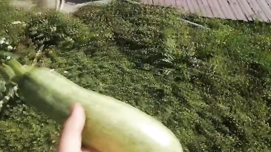 Приехала на дачу, чтобы довести волосатую киску до оргазма - на природе